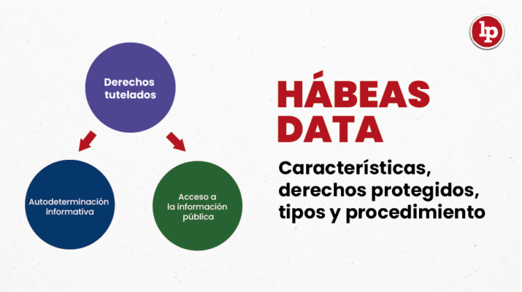 Hábeas Data Características Derechos Protegidos Tipos Y Procedimiento Lp 3913