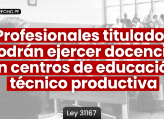 Ley 31167: profesionales titulados podrán ejercer docencia en centros de educación técnico productiva