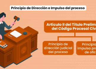 Principio de Dirección e Impulso del proceso: Artículo II del Título Preliminar del Código Procesal Civil