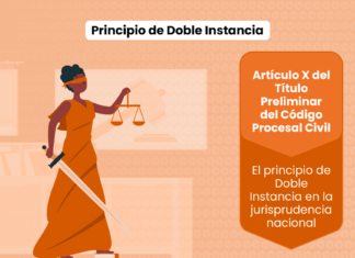 Principio de Doble Instancia: Artículo X del Título Preliminar del Código Procesal Civil