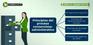 Principios del proceso contencioso-administrativo