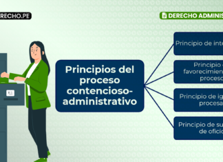 Principios del proceso contencioso-administrativo