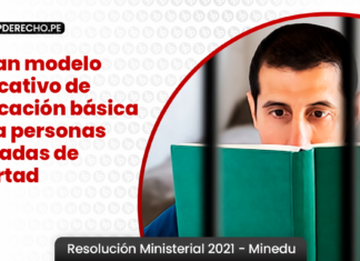 Resolucion Ministerial 2021 - Minedu - LP