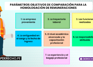 Siete parametros objetivos de comparacion para la homologacion de remuneraciones-laboral-LP