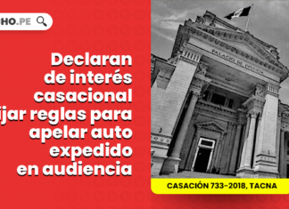 declaran interes casacional reglas apelar auto expendido audiencia