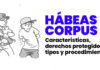Hábeas corpus: características, derechos protegidos, tipos y procedimiento hábeas corpus -banner