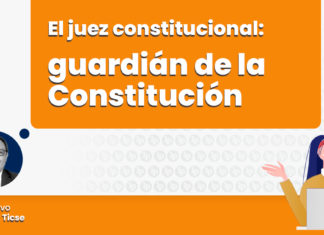 juez constitucional guardian constitucion LP