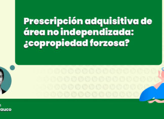 prescripcion adquisitiva area independizada copropiedad forzosa