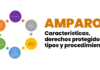Amparo: características, derechos protegidos, tipos y procedimiento Proceso de amparo - banner