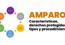 Amparo: características, derechos protegidos, tipos y procedimiento Proceso de amparo - banner
