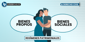 Los bienes propios y los bienes sociales en el Código Civil peruano