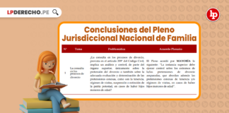 Conclusiones Pleno Jurisdiccional Nacional de Familia 2021 con logo de LP