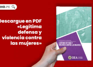 Descargue en PDF «Legítima defensa y violencia contra las mujeres»