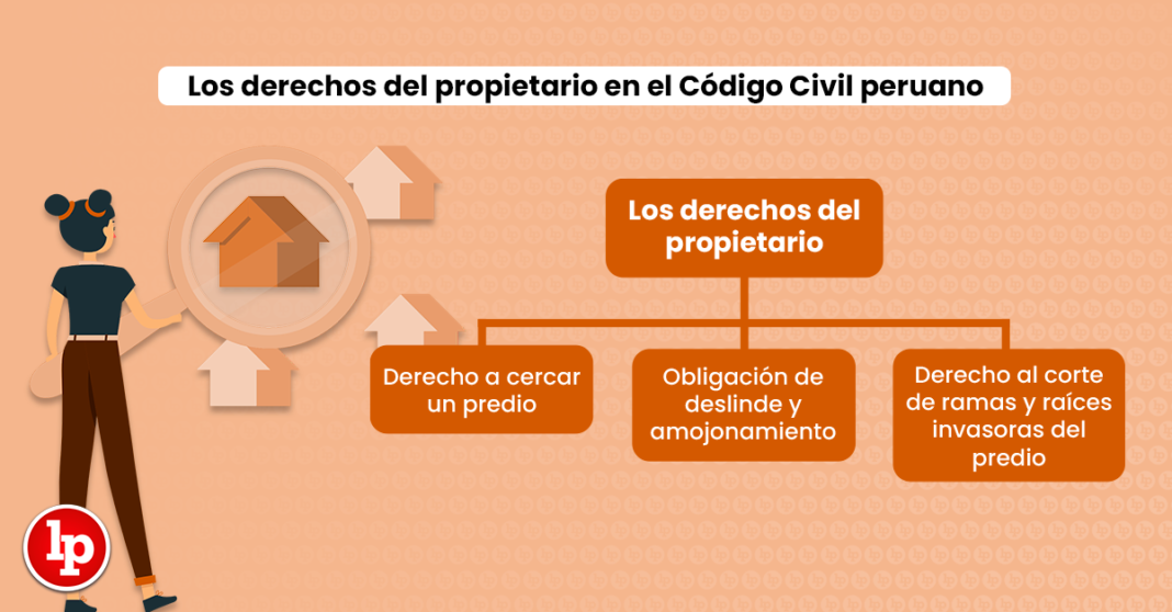 Los derechos del propietario en el Código Civil peruano
