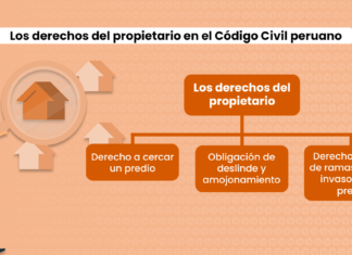 Los derechos del propietario en el Código Civil peruano
