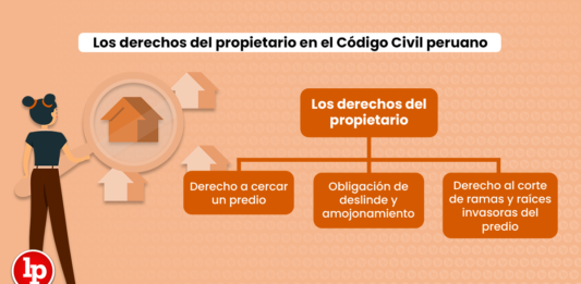 Los derechos del propietario en el Código Civil peruano