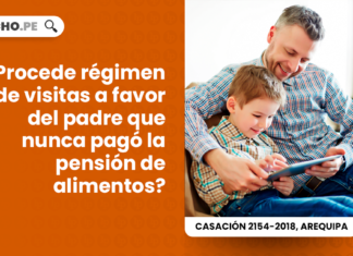 Procede regimen de visitas a favor del padre que nunca pago la pension de alimentos-civil-LP