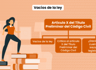 ¿Qué son los vacíos o lagunas de la ley? (artículo X del título preliminar del Código Civil) Vacíos de la ley (artículo X del Título Preliminar del Código Civil)
