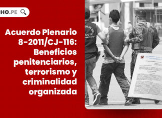 beneficios-penitenciarios-terrorismo-criminalidad-organizada-acuerdo-plenario-8-2011-cj-116-LP