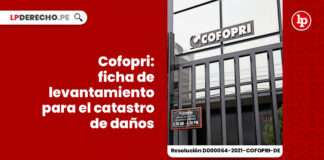cofopri-ficha-levantamiento-catastro-danos-resolucion-d000064-2021-cofopri-de-LP