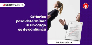 criterios-determinar-cargo-confianza-stc-01568-2011-pa-LP
