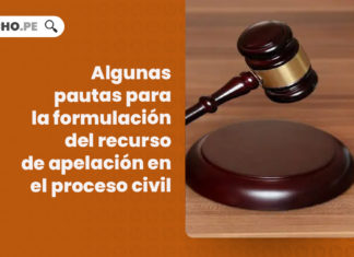 pautas-formulacion-recurso-apelacion-proceso-civil-LP