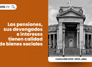 pensiones-devengados-interes-tienene-calidad-biones-sociales-LP