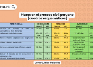 plazos-proceso-civil-peruano-cuadros-esquematicos-LP