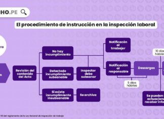 Esto es lo que debes conocer sobre la etapa de instrucción de Sunafil