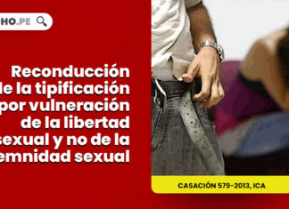 reconduccion tipificacion vulneracion libertad sexual indemnidad sexual LP