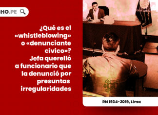 whistleblowing-denunciante-civico-jefa-querello-funcionario-denuncio-presuntas-irregularidades-recurso-nulidad-1934-2019-lima-LP