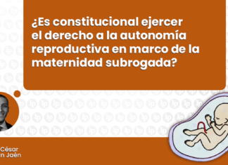 ¿Es constitucional ejercer el derecho a la autonomía reproductiva en el marco de la maternidad subrogada? constitucional ejercer el derecho a la autonomía reproductiva en el marco de la maternidad subrogada con logo de LP