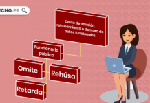 Delito de omision, rehusamiento o demora de actos funcionales con logo de LP