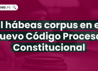 El hábeas corpus en el nuevo Código Procesal Constitucional