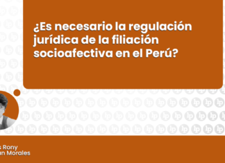 Es necesario la regulación juridica de la filiacion socio afectiva en el Perú con logo de LP