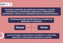 Delito de posesión indebida de teléfonos celulares o armas, municiones o materiales explosivos, inflamables, asfixiantes o tóxicos en establecimientos penitenciarios con logo de LP
