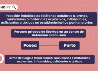 Delito de posesión indebida de teléfonos celulares o armas, municiones o materiales explosivos, inflamables, asfixiantes o tóxicos en establecimientos penitenciarios con logo de LP