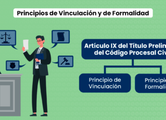 Principios de Vinculación y de Formalidad: Artículo IX del Título Preliminar del Código Procesal Civil