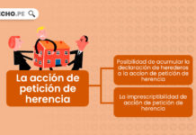 accion-peticion-herencia-sucesiones-derecho-civil-LP