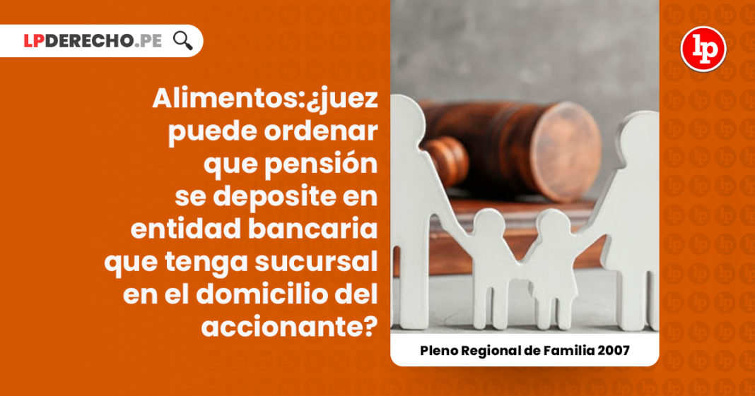 alimentos-pension-conclusiones-del-pleno-jurisdiccional-regional-de-familia-lima-2007-LP