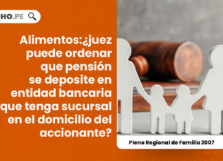 alimentos-pension-conclusiones-del-pleno-jurisdiccional-regional-de-familia-lima-2007-LP