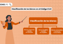 clasificacion-bienes-codigo-civil-peruano-LP
