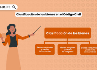 clasificacion-bienes-codigo-civil-peruano-LP