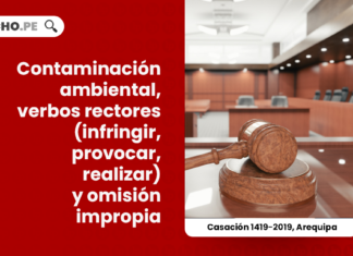 contaminacion-ambiental-verbos-rectores-infringir-provocar-realizar-omision-impropia-casacion-1419-2019-arequipa-LP