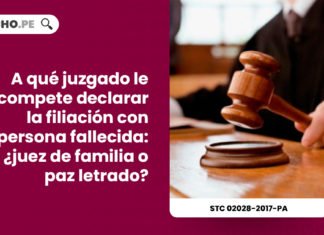 declaracion-judicial-filiacion-paternidad-extramatrimonial-post-mortem-motivacion-cualificada-expediente-02028-2017-pa-tc-LP