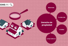 Derecho de propiedad: concepto, alcances, límites, jurisprudencia derecho-propiedad-LP