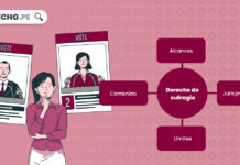 Derecho de sufragio: concepto, contenido, límites, jurisprudencia
