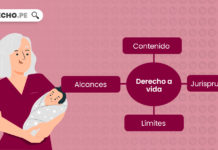 Derecho a la vida: concepto, alcances, contenido, jurisprudencia derecho-vida-LP