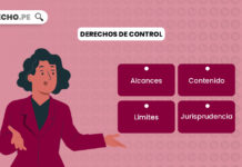 Derechos de control ciudadano: revocatoria y remoción de autoridades derechos-control-LP