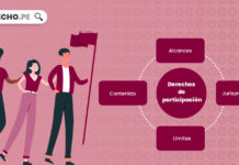 ¿Qué son los derechos de participación política? derechos-participacion-LP